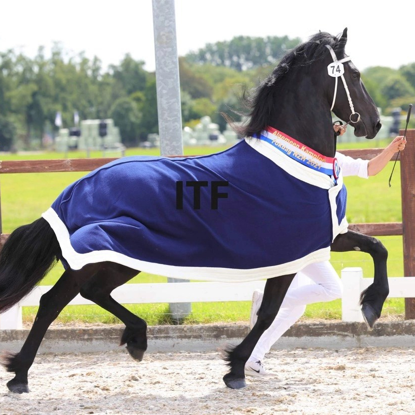 Gia vom Goldseehof wieder in unserem Besitz 🍀