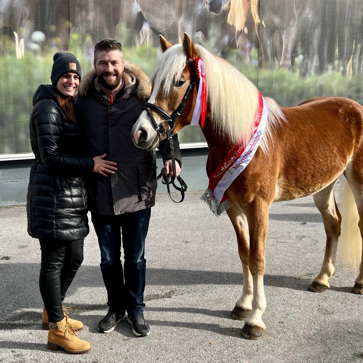 Unser Showdown ist gekört!