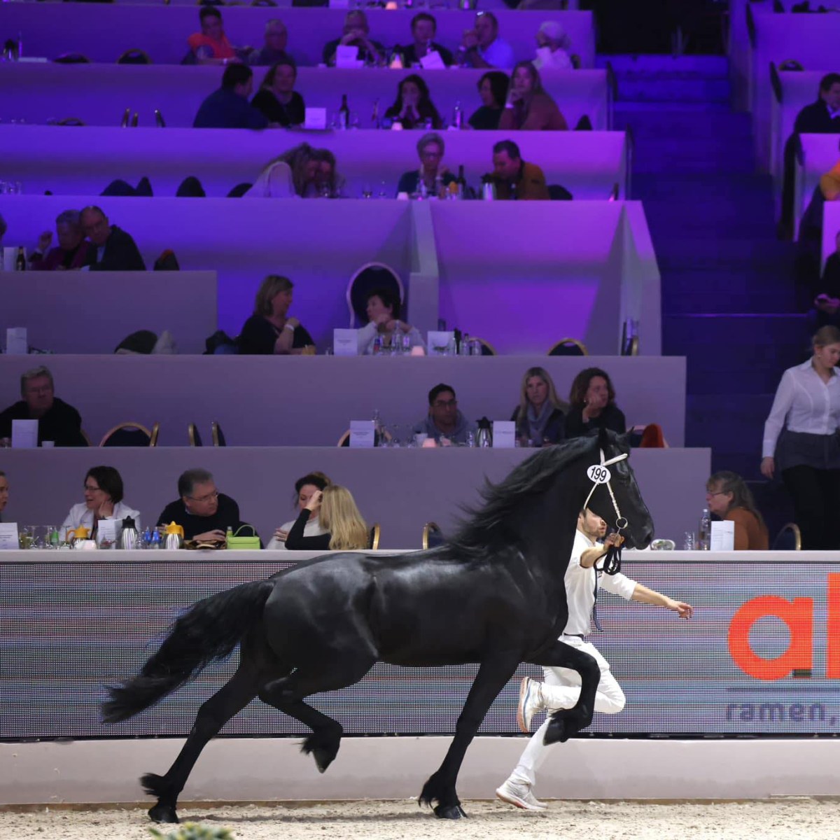 Piet vom Goldseehof STER